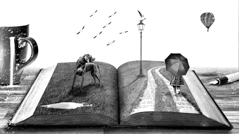 narrative-794978_1920 s w